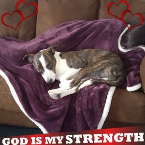 Meet your Posher, Billie